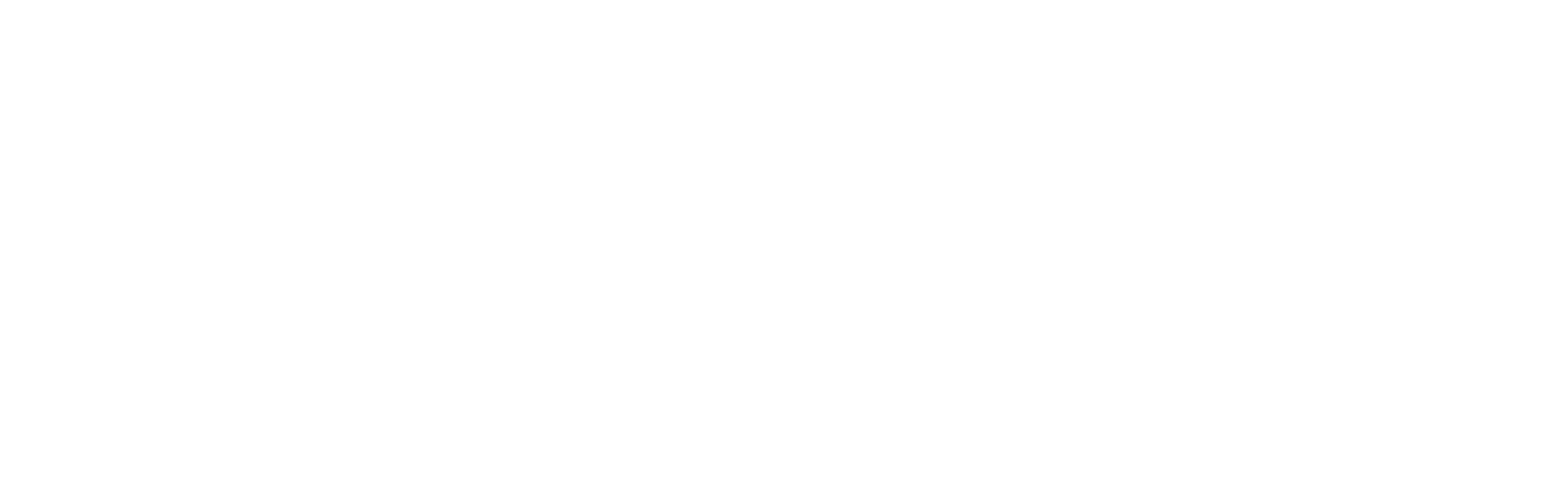 TRSM - Tracto Refacciones y Servicios Diesel de Monterrey